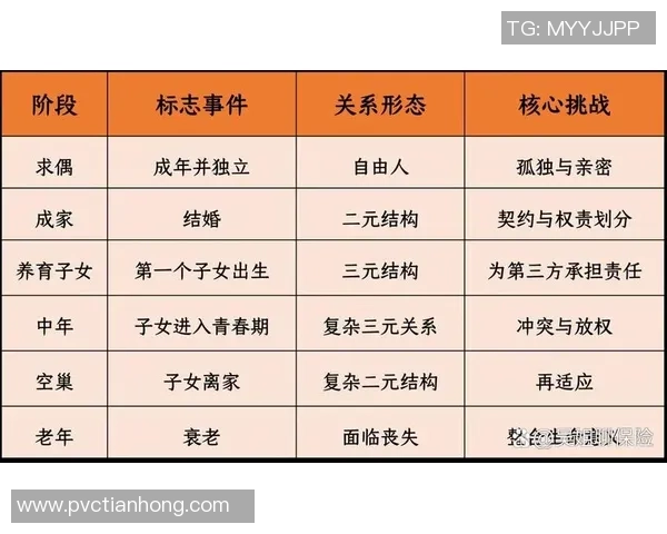 探索vs与bb之间的复杂关系及其对个人成长的影响
