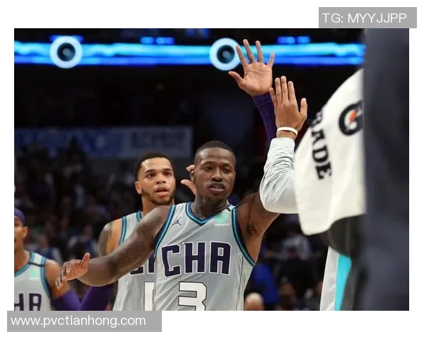 特里罗齐尔的篮球之路与成长历程探秘